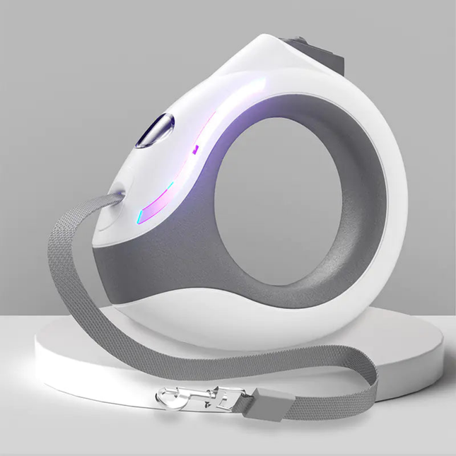 Modern dog leash and collar set on a gray background