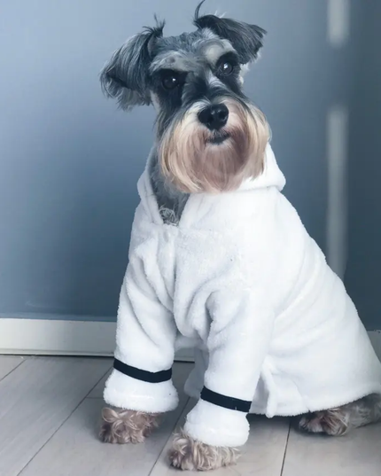 Dog wearing a white robe standing on a wooden floor against a gray wall.