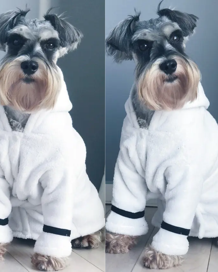 Dog wearing a white robe with black trim sitting on a wooden floor.