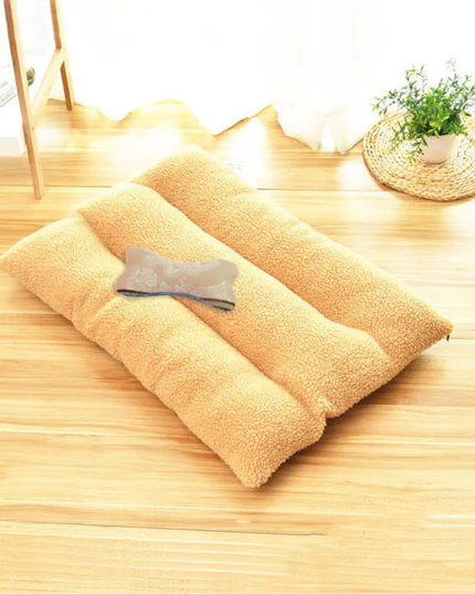 Two beige pillows on a wooden floor with a plant in the background