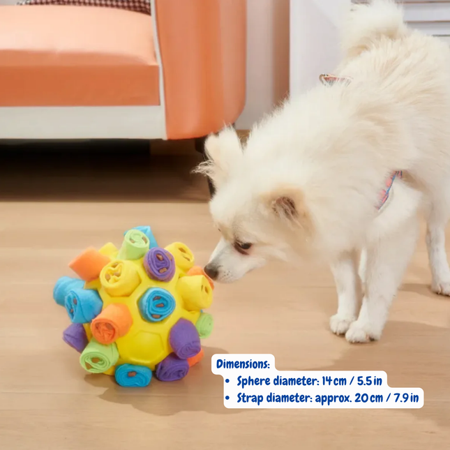 Dog playing with a colorful ball toy on a wooden floor.